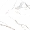 Msi Eden Statuary 24 In. X 24 In. Polished Porcelain Floor And Wall Tile, 4PK ZOR-PT-0458
